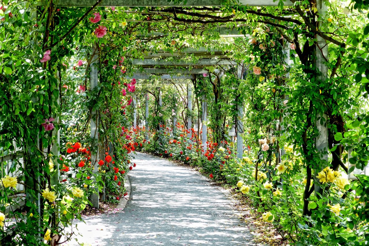 Landesgartenschauen 2021 Landesgartenschauen 2021